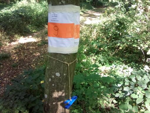 Postenbeispiel mit Zange